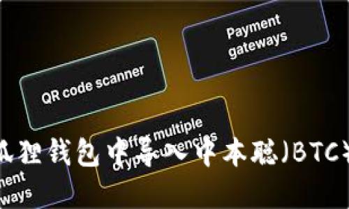 如何在小狐狸钱包中导入中本聪（BTC）：全面指南