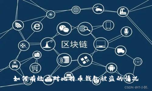 如何有效应对比特币钱包被盗的情况