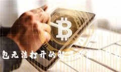 小狐狸钱包无法打开的解决办法及常见问题分析