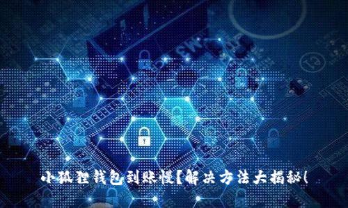 小狐狸钱包到账慢？解决方法大揭秘！
