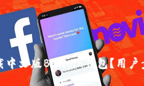 如何下载中文版Bitcoin钱包？用户步骤详解