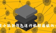 如何使用小狐狸钱包进行视频播放的全面指南