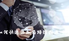 小狐狸钱包如何快速添加马蹄链图片：详细教程