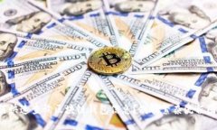 如何快速查询区块链钱包信息？别被繁杂流程困