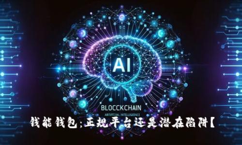 钱能钱包：正规平台还是潜在陷阱？
