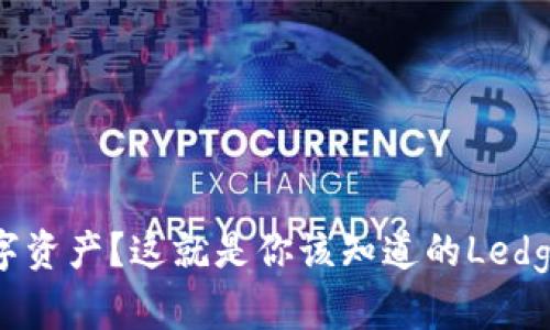 想拥有安全的数字资产？这就是你该知道的Ledger钱包购买指南！