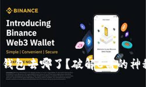 虚拟币钱包去哪了？破解C盘的神秘谜团！