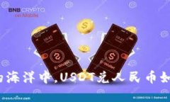 在数字货币的海洋中，USDT兑人民币如何驾驭波澜