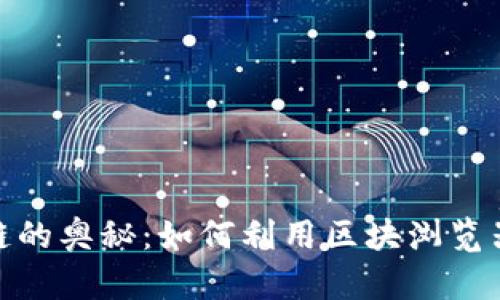 探索波场区块链的奥秘：如何利用区块浏览器获取深度洞察