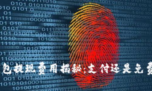 CGPay钱包提现费用揭秘：支付还是免费的游戏？