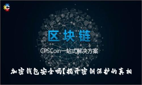 加密钱包安全吗？揭开密钥保护的真相