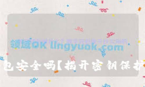 加密钱包安全吗？揭开密钥保护的真相