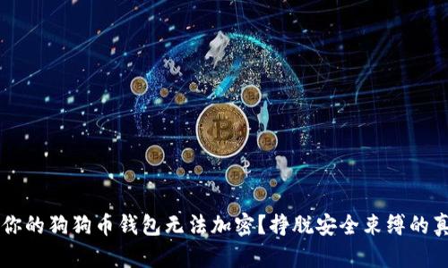 为什么你的狗狗币钱包无法加密？挣脱安全束缚的真相揭示
