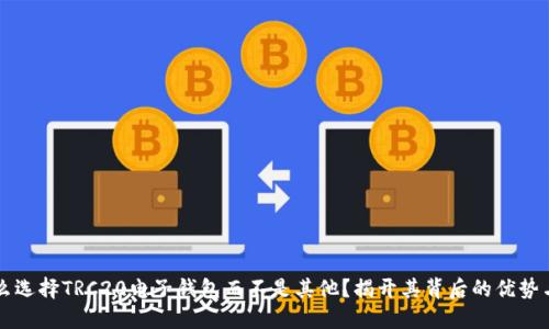 为什么选择TRC20电子钱包而不是其他？揭开其背后的优势与挑战