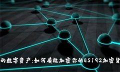 保护你的数字资产：如何有效加密你的ES192加密货