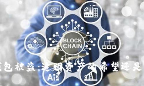  虚拟币钱包被盗：追回资产的希望还是无望的梦？