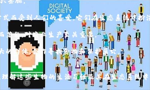 以下是关于不同动物在英语中的名称和相关介绍。各个动物名称包括其英语翻译及简要描述。

哺乳动物
哺乳动物是指以母乳喂养后代的动物。它们通常体温恒定，体毛或皮毛覆盖，全身由骨骼支撑。

strong狗（Dog）/strong：狗是人类最早驯化的动物之一，被誉为“人类最好的朋友”。它们有多种品种，各自具有不同的性格和功能，如看家、陪伴或工作。

strong猫（Cat）/strong：猫是极受欢迎的家庭宠物，以其独立性和优雅的身姿而闻名。它们擅长捕捉小型害虫。

strong大象（Elephant）/strong：大象是陆地上最大的动物，以其庞大的体型和强烈的社会性而著称。它们通常生活在群体中，并展现出极高的智力。

鸟类
鸟类是充满色彩和声音的生物，具有羽毛和两个翅膀，能够飞翔。

strong鹰（Eagle）/strong：鹰是一种强壮的猛禽，以其敏锐的视力和优雅的飞行而受到赞赏。它们通常生活在开阔的区域。

strong麻雀（Sparrow）/strong：麻雀是一种小型鸟类，常见于城市和乡村。它们喜欢成群结队地觅食，习惯于在人类周围活动。

strong鸽子（Pigeon）/strong：鸽子以其温顺和适应性强著称，是城市中常见的鸟类。它们曾被用作传递信息的信使。

爬行动物
爬行动物是冷血动物，通常通过日光来调节身体温度。它们的皮肤覆盖着鳞片。

strong蜥蜴（Lizard）/strong：蜥蜴是一种多样化的爬行动物，种类繁多，某些种类能通过蜕皮来逃避捕食者。

strong蛇（Snake）/strong：蛇是无腿的爬行动物，以其独特的运动方式而著称，某些种类具有毒性。

strong鳄鱼（Crocodile）/strong：鳄鱼是大型爬行动物，以其强大的下颚和高效的狩猎能力而闻名。它们生活在热带和亚热带的水域中。

鱼类
鱼类是生活在水中的脊椎动物，通常具有鳍和鳃，用来游泳和呼吸。

strong鲨鱼（Shark）/strong：鲨鱼是海洋中的顶级掠食者，以其强健的体魄和敏锐的嗅觉闻名。

strong金鱼（Goldfish）/strong：金鱼是一种受欢迎的家庭宠物，因其色彩斑斓的外表和优雅的游动姿态而受到喜爱。

strong鲤鱼（Carp）/strong：鲤鱼是一种大型淡水鱼，常见于池塘和河流。它们在某些文化中象征着好运和繁荣。

两栖动物
两栖动物是既能生活在水中也能生活在陆地上的生物，它们在生命周期的某个阶段通常都需要水。

strong青蛙（Frog）/strong：青蛙以其独特的叫声和跳跃能力而著称。它们通常在湿润的环境中生活，以昆虫为食。

strong蝾螈（Salamander）/strong：蝾螈是一种形态独特的两栖动物，通常生活在阴湿的环境中，以小昆虫和无脊椎动物为食。

strong蟾蜍（Toad）/strong：蟾蜍与青蛙相似，但通常体型更大，皮肤更粗糙。它们多生活于干燥的环境，以昆虫为食。

昆虫
昆虫是地球上数量最多的动物，具有身体分为头、胸、腹三个部分，通常有六条腿。

strong蝴蝶（Butterfly）/strong：蝴蝶以其华丽的翅膀和优雅的飞舞方式而受到人们的喜爱。它们在生态系统中扮演着重要的授粉者角色。

strong蜜蜂（Bee）/strong：蜜蜂是勤劳的小动物，以其采蜜和授粉能力而著称，对农业生产至关重要。

strong蚂蚁（Ant）/strong：蚂蚁是一种高度社会化的昆虫，能够形成庞大的群体，合作寻找食物和保护巢穴。

总结
了解动物的英语名称不仅能丰富我们的词汇，更能让我们更加贴近自然，理解这些生物的生活习性及其在生态系统中的重要性。希望这些信息能帮助你更好地认识和欣赏我们身边的动物们！