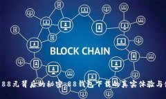 隐藏在188元背后的秘密：88钱包下载的真实体验与