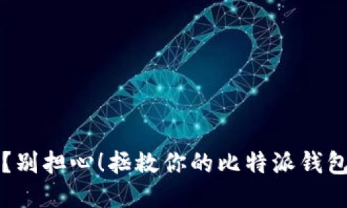 助记词丢失？别担心！拯救你的比特派钱包的终极指南