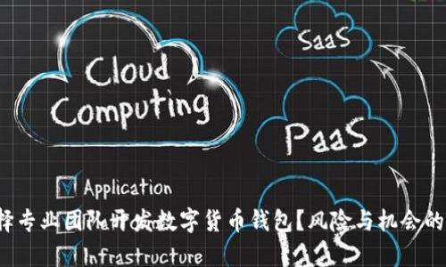 : 为何选择专业团队开发数字货币钱包？风险与机会的双重博弈！