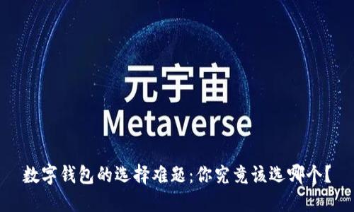 数字钱包的选择难题：你究竟该选哪个？