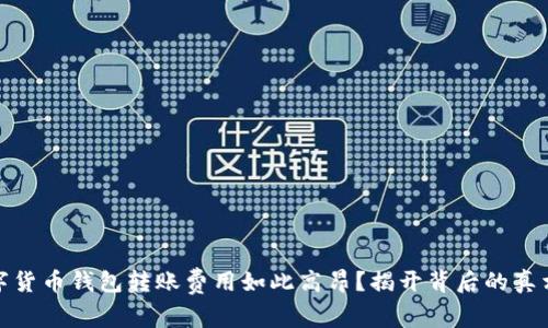 : 为什么数字货币钱包转账费用如此高昂？揭开背后的真相与解决方案