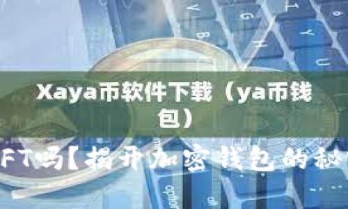 Metamask可以接受NFT吗？揭开加密钱包的秘密，收藏你的数字艺术！