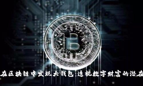 如何在区块链中发现大钱包：透视数字财富的潜在挑战