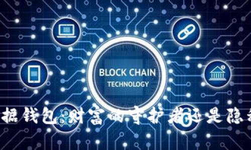 区块链数据钱包：财富的守护者还是隐私的黑洞？