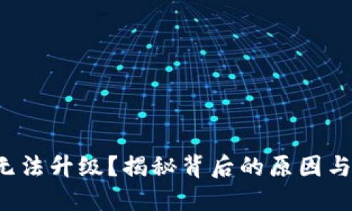 数字钱包无法升级？揭秘背后的原因与解决方案！