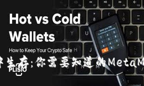 如何在币圈中生存：你需要知道的MetaMask使用指南