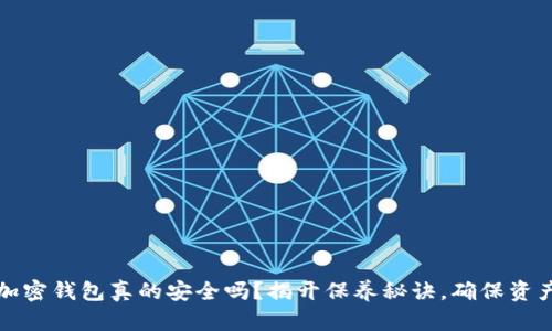 你的加密钱包真的安全吗？揭开保养秘诀，确保资产无忧