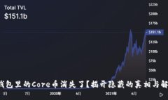小狐狸钱包里的Core币消失了？揭开隐藏的真相与