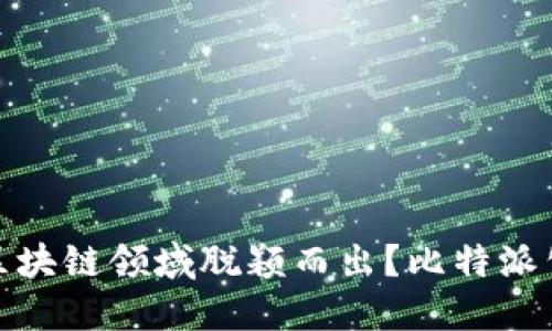 如何在竞争激烈的区块链领域脱颖而出？比特派公司的成功秘诀揭秘