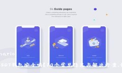 virtual_scenario你的TRC20 USDT钱包安全吗？10个常见隐