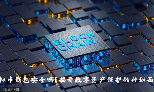 虚拟币钱包安全吗？揭开数字资产保护的神秘面纱！