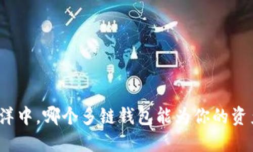 在数字货币的海洋中，哪个多链钱包能为你的资产提供最强保护？