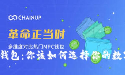 冷钱包与热钱包：你该如何选择你的数字资产护卫？