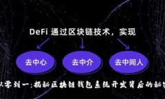 从零到一：揭秘区块链钱包系统开发背后的秘密