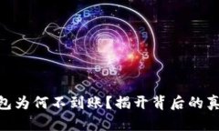 MetaMask钱包为何不到账？揭开背后的真相与解决方