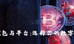 虚拟币的钱包与平台：选择你的数字财富保护者