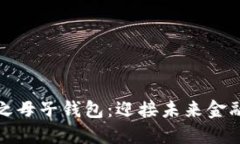 数字货币之母子钱包：迎接未来金融的新挑战