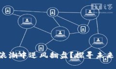 谁能在币圈浪潮中逆风翻盘？探寻未来的投资机