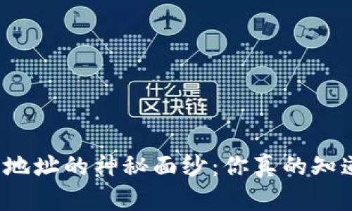 揭开区块链钱包地址的神秘面纱：你真的知道该如何查找吗？