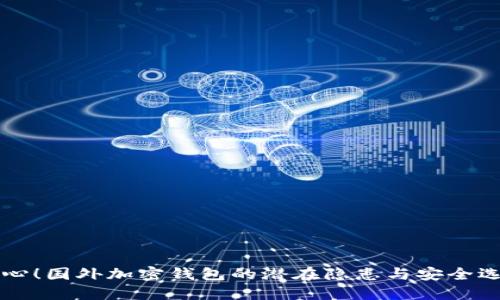 当心！国外加密钱包的潜在隐患与安全选择