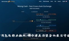 加密钱包选择大挑战：哪个才是你资金的最佳守