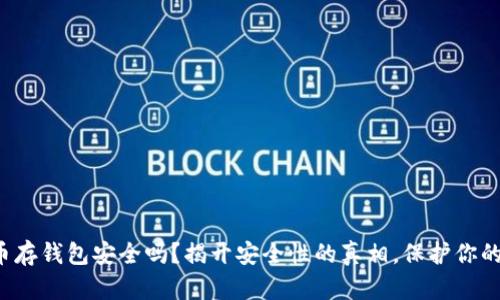 数字币存钱包安全吗？揭开安全性的真相，保护你的投资！