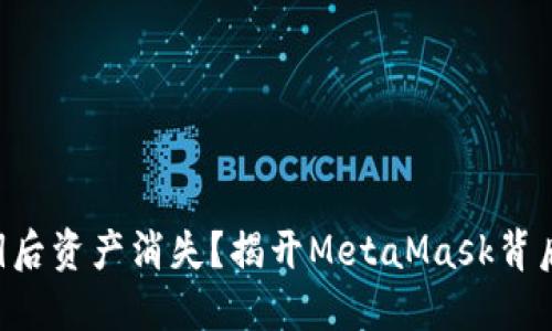 “导入私钥后资产消失？揭开MetaMask背后的秘密！”