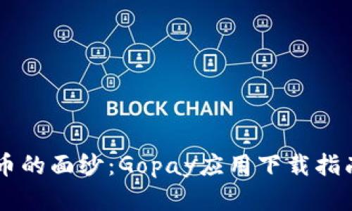 揭开数字货币的面纱：Gopay应用下载指南，不再迷茫！