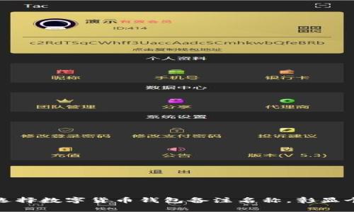 如何巧妙选择数字货币钱包备注名称，彰显个性与安全